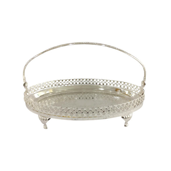 Oval Basket Orchid
