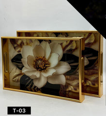 Acrylic Tray Set 2 Pcs