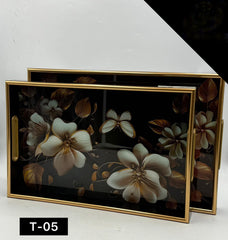 Acrylic Tray Set 2 Pcs