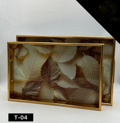 Acrylic Tray Set 2 Pcs