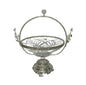 Fruit Basket Orchid