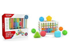 Sorting Baby Toy