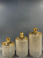 Food Storage Jar With Lid ( Pack Of 3)