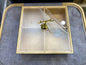 4 Partition Dry fruit Tray Square