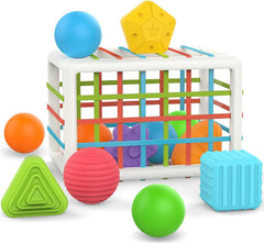 Sorting Baby Toy