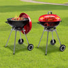 BBQ grill Furnace