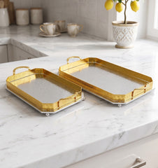 2Pcs Silver Tray