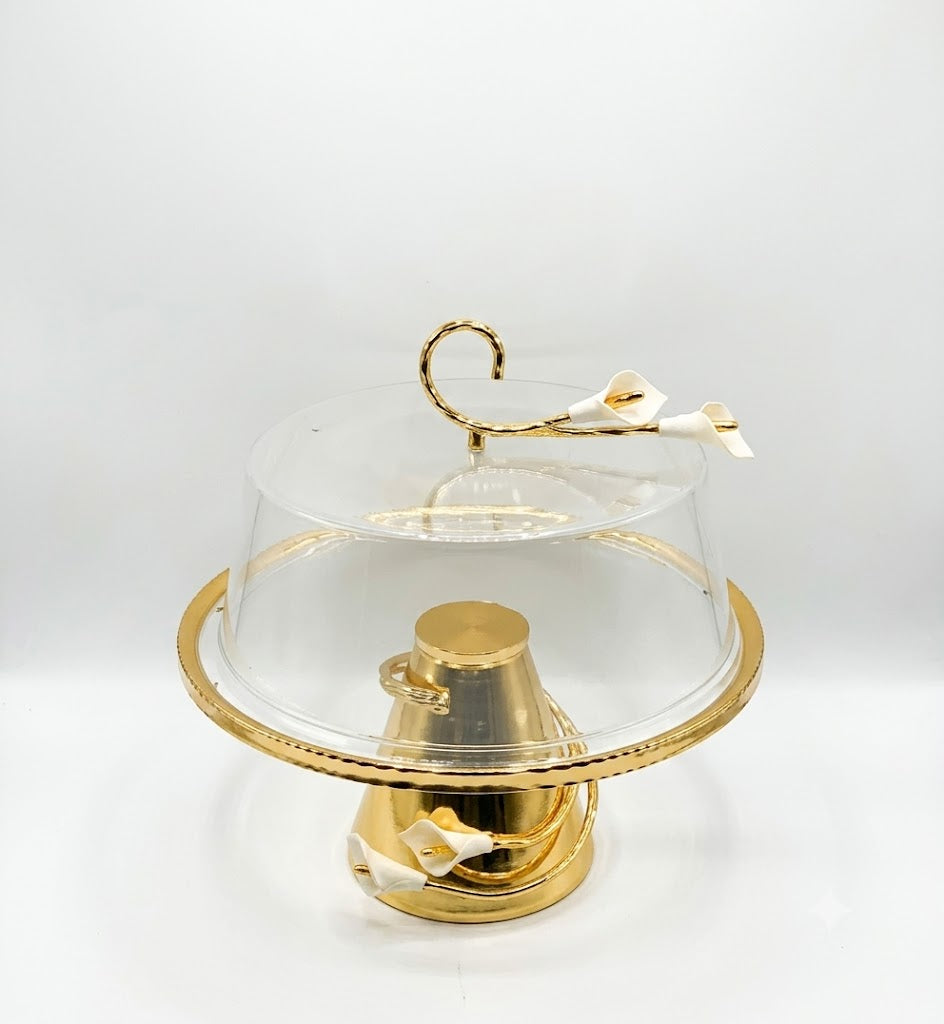 Cake Dish