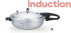 Induction Wok Cooker Feast