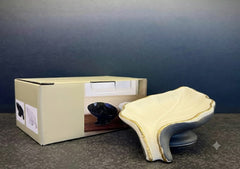 Brilliant Soap Dish Leaf
