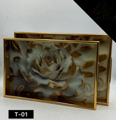 Acrylic Tray Set 2 Pcs