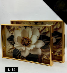 Acrylic Tray Set 2 Pcs