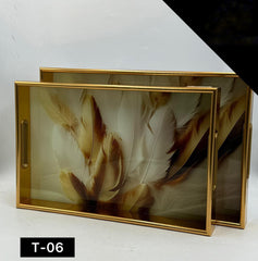 Acrylic Tray Set 2 Pcs
